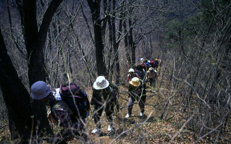 高川山